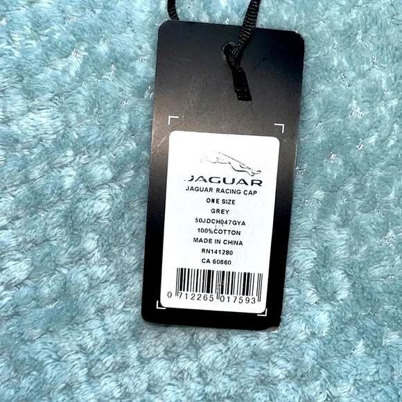 PANASONIC Jaguar Racing Cap - Picture 2 of 2